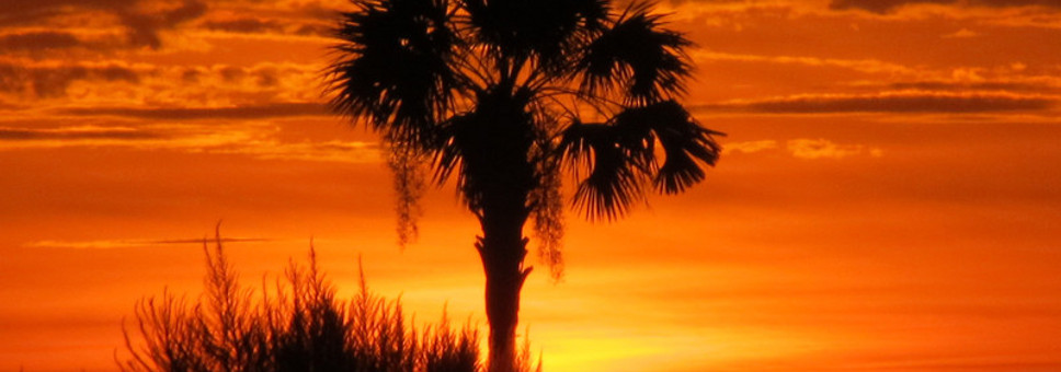Vacation on yacht - Bora Bora