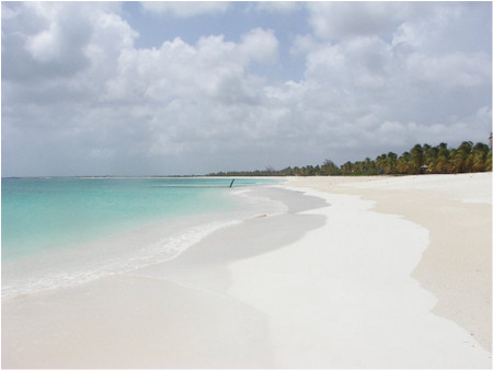 Antiqua Island - Beach